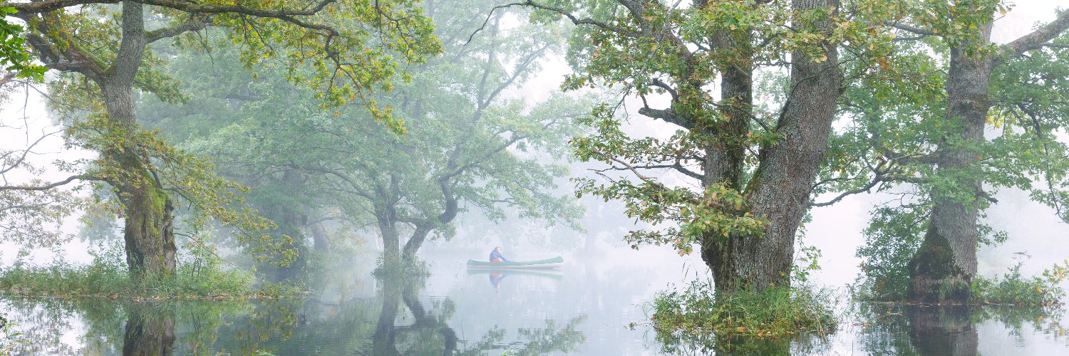 Estonian Embassy UK banner