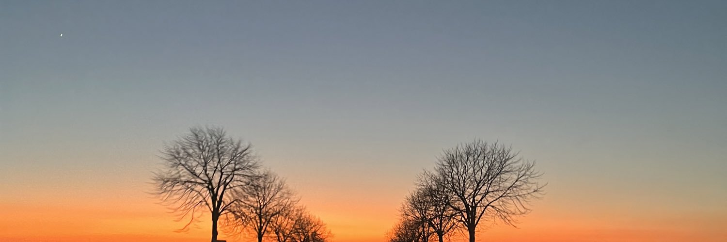 solene_pierron's profile banner image