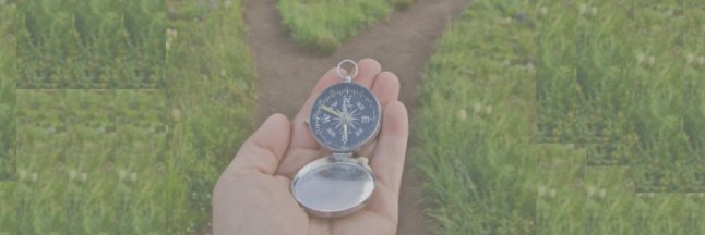 SvInnovCompass's profile banner image