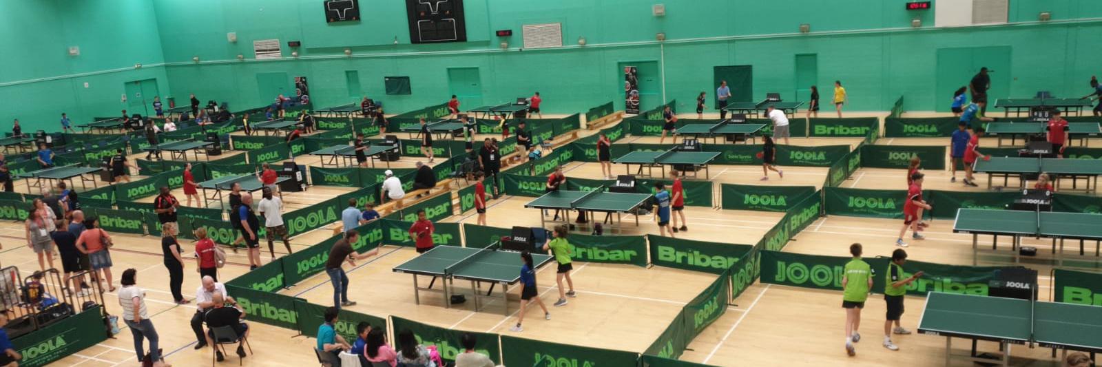 Table Tennis England Development banner