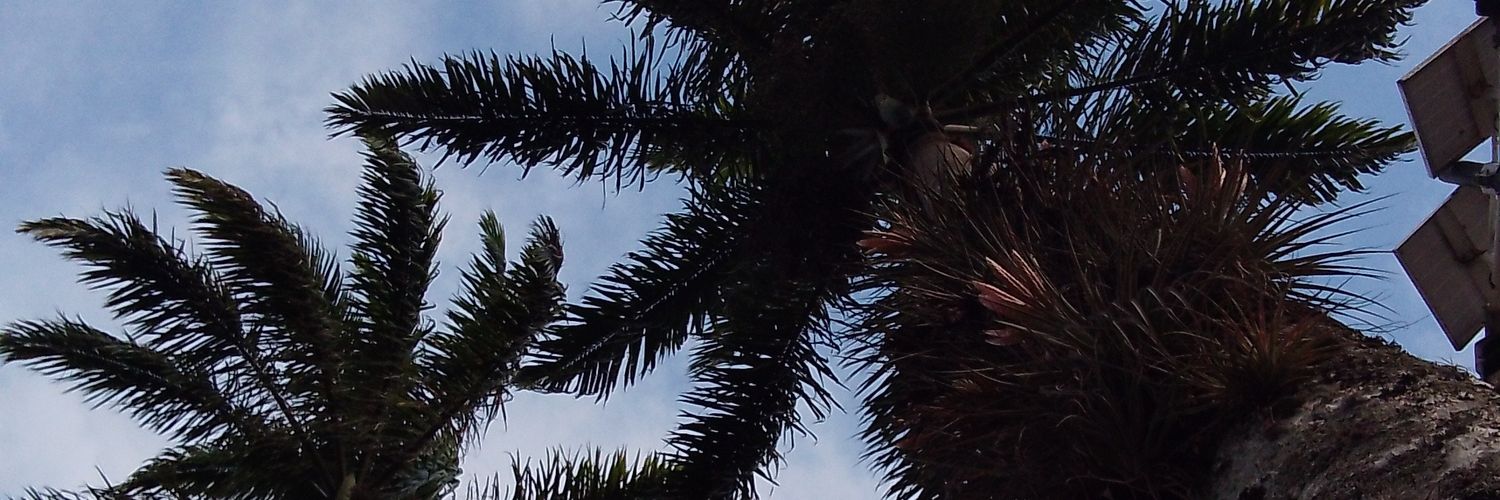 Geraaaaal's profile banner image