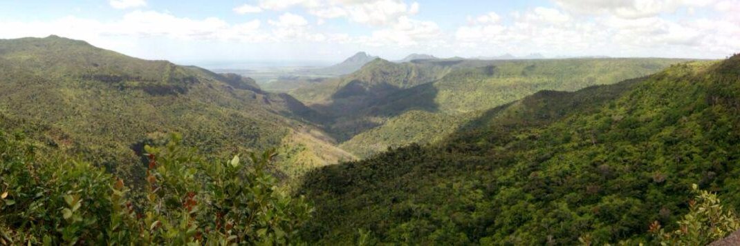 Desmond Hopkins banner