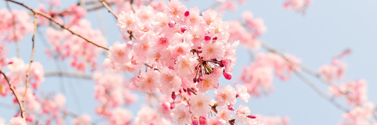 Bibi_Isa97's profile banner image