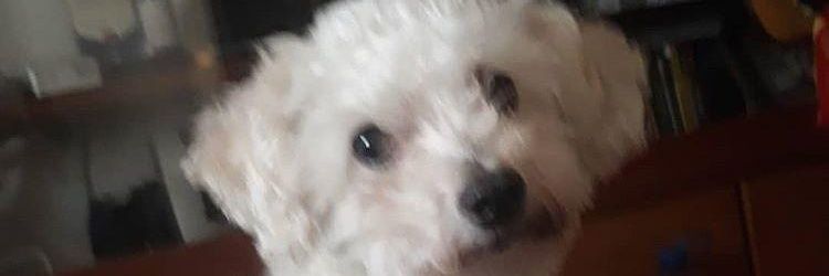 rekayatt's profile banner image