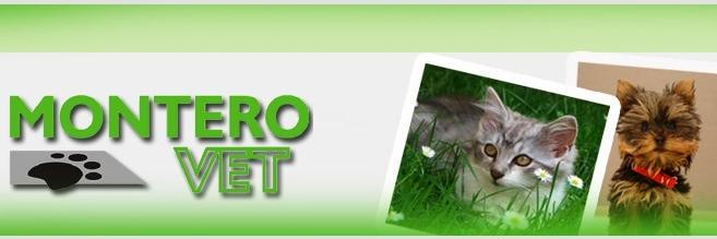 Monterovet's profile banner image