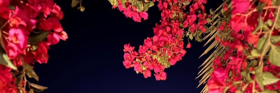 beautyzoz's profile banner image
