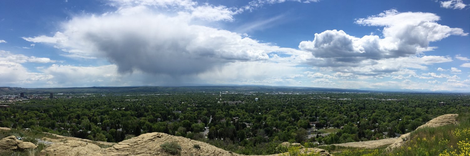 Mike Scherting banner