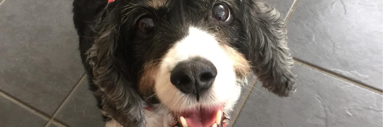 meganforman1's profile banner image