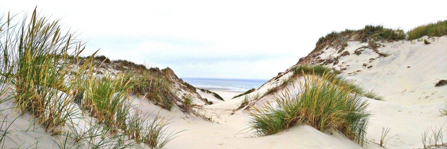 _SamKleemans's profile banner image