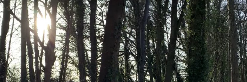ems_fletcher's profile banner image