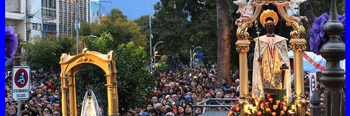 silvio2446's profile banner image