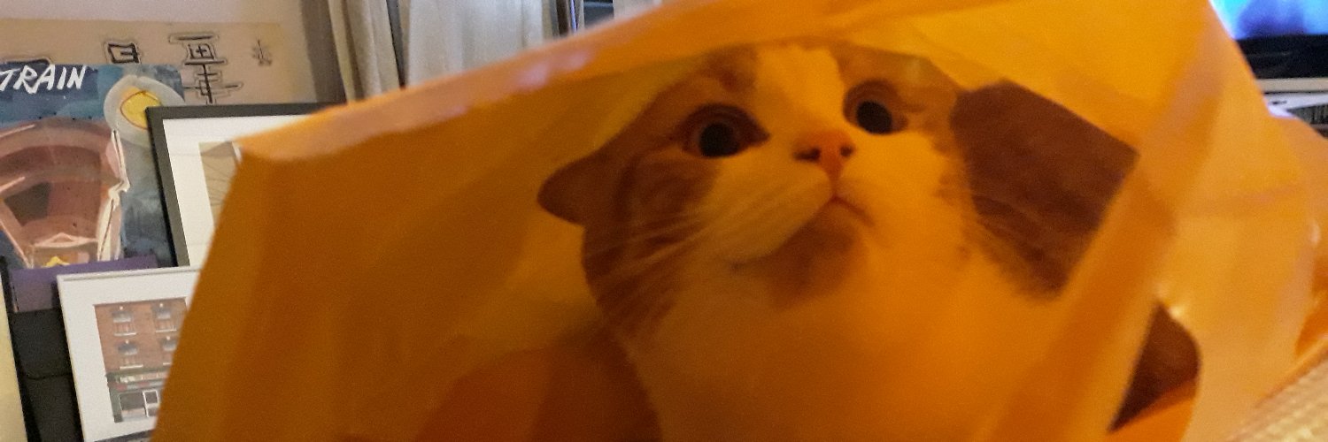 jess_no's profile banner image