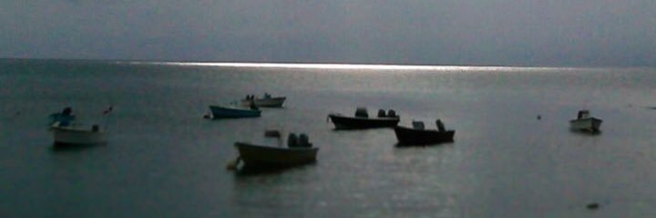 Thelma Gonzalez banner