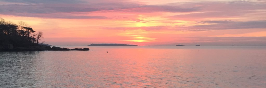 HayleyArduini's profile banner image