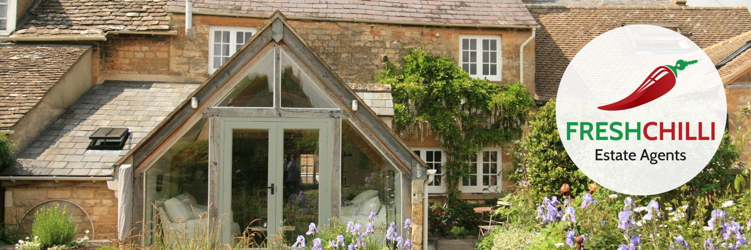 freshchilliEA's profile banner image
