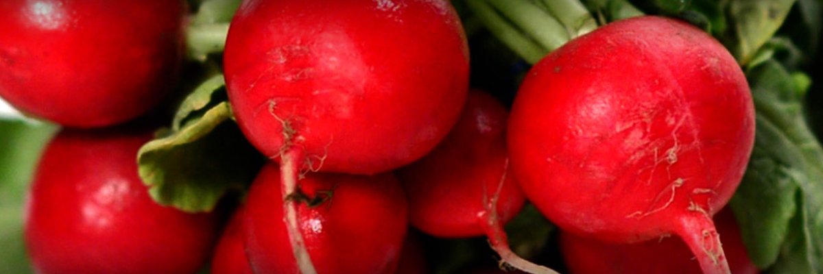 UVaFoodCollab's profile banner image