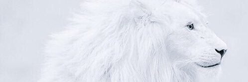 ASAlSubaiei's profile banner image