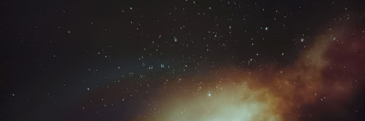 Sebastian Boms banner