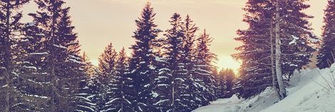 KaylaLewis3's profile banner image