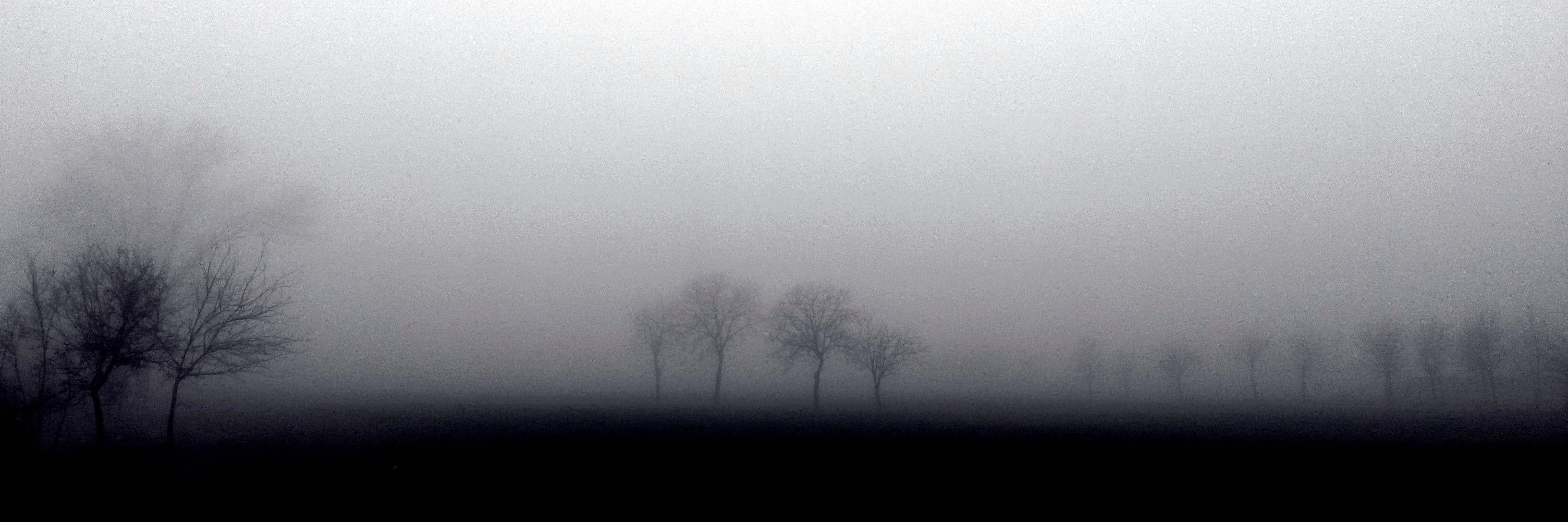 LineaGotica76's profile banner image
