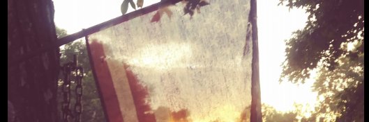 Holt48's profile banner image