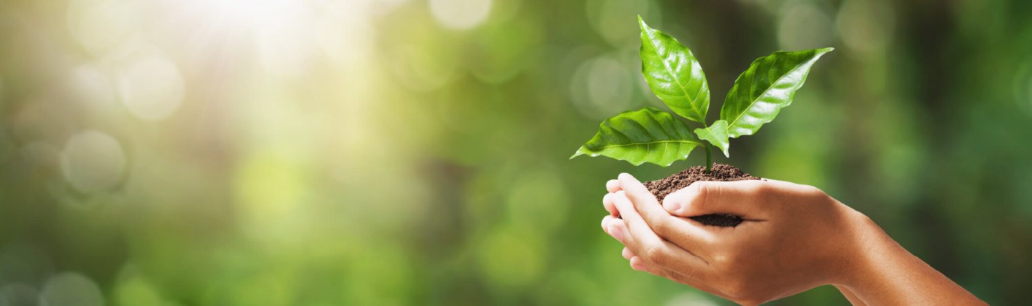 weeerecycleit's profile banner image
