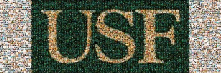 USF Internal Medicine banner