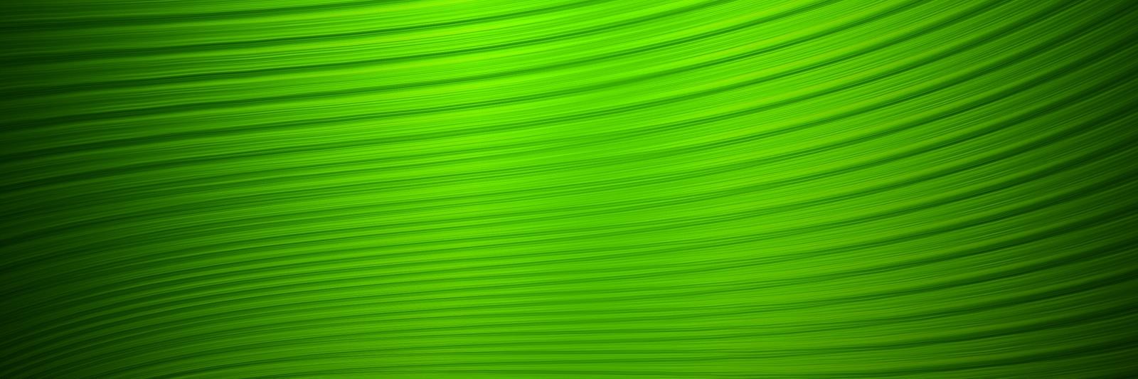 First Class Comm. CU banner