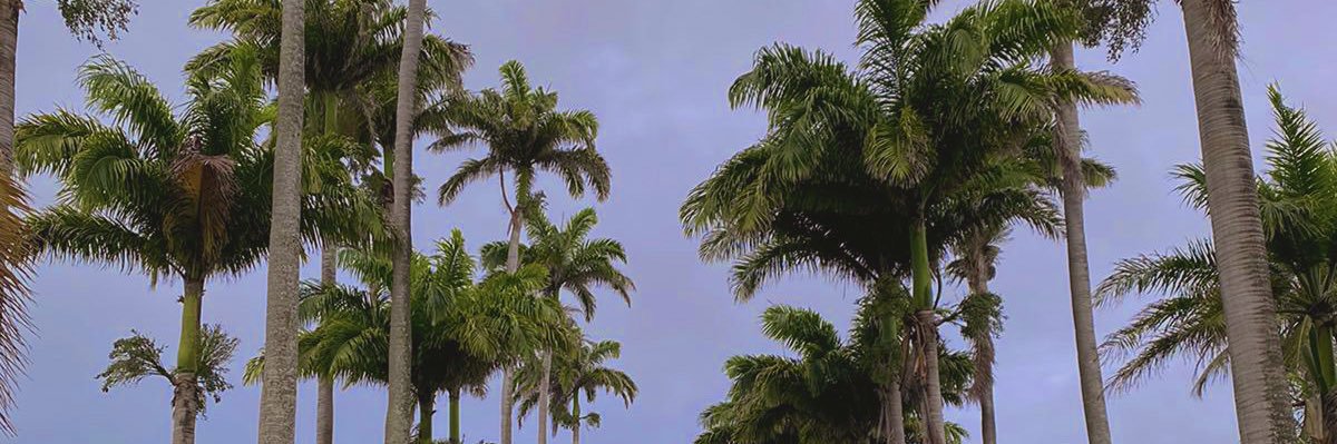 beerry891's profile banner image