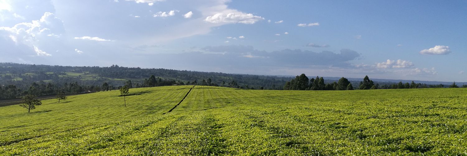 mosbei95's profile banner image