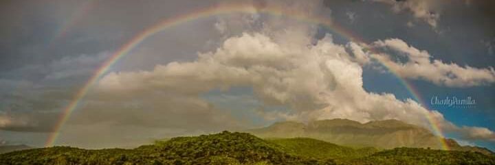 Lourdes_Lloret's profile banner image