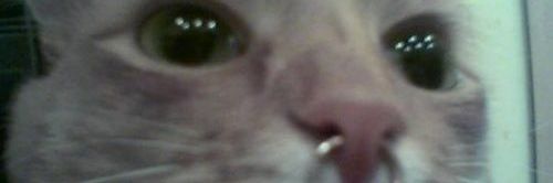 rana aka ribo 🍓 banner