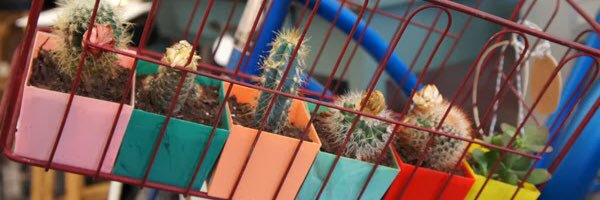 Emily Whittenburg banner