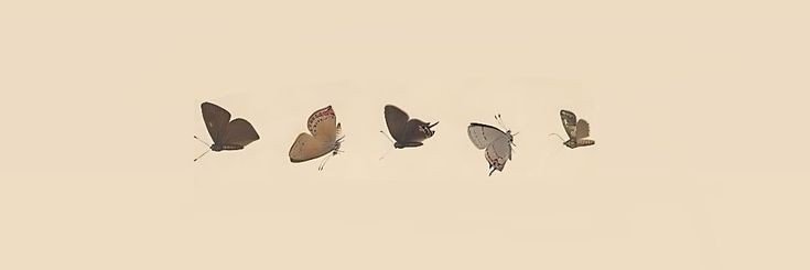 Hool246_'s profile banner image