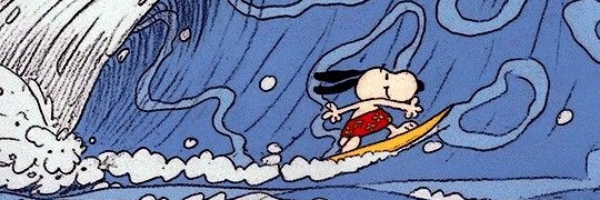 stuckns's profile banner image