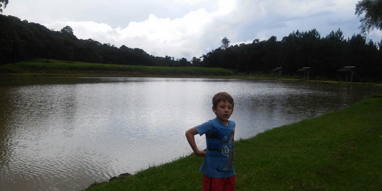 Andrea de Paula banner