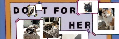 oligarchybrdstx's profile banner image