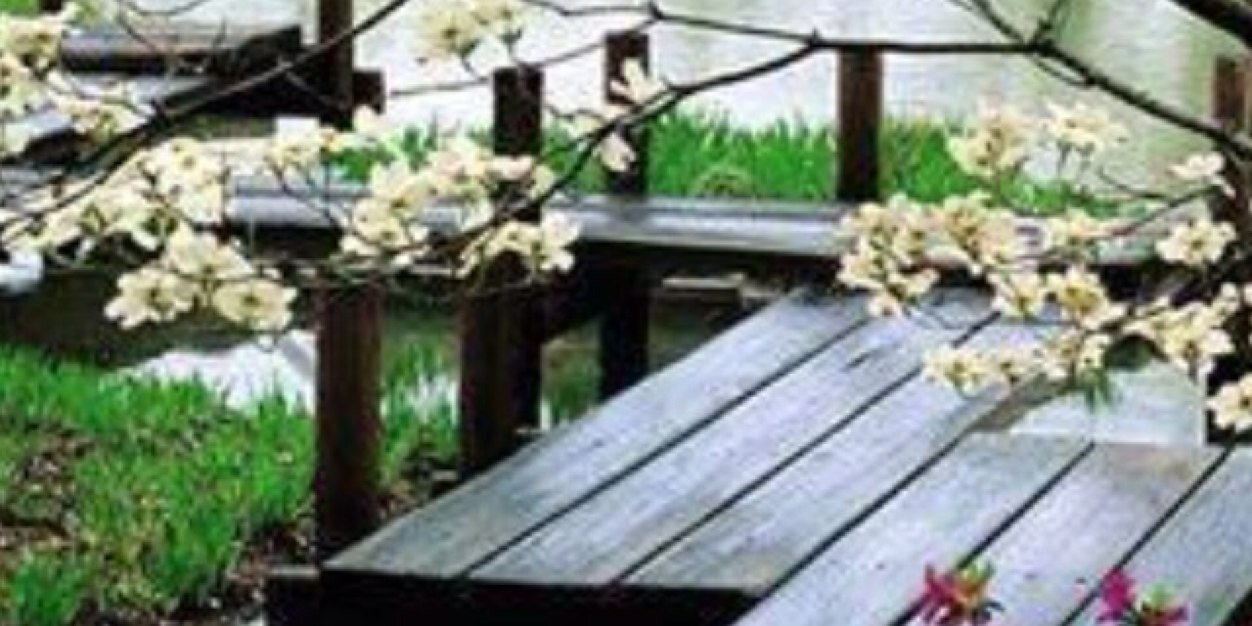 blondiesooner's profile banner image