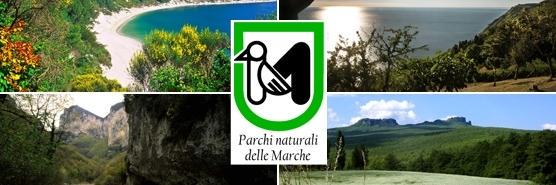 FederparchiMarche banner