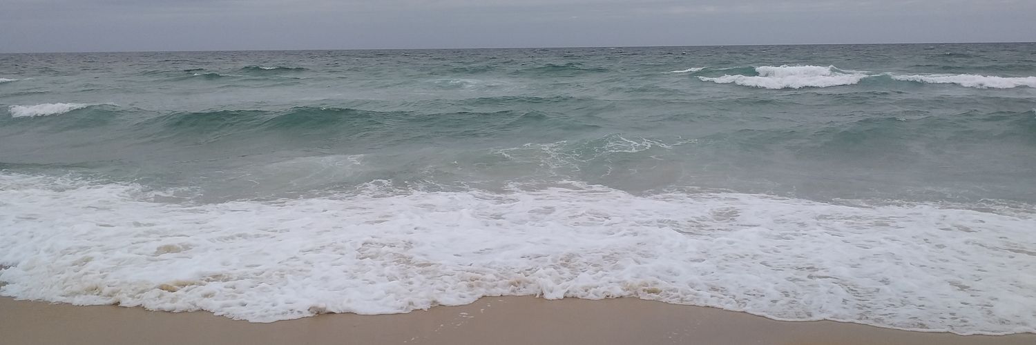 lydiecollard's profile banner image