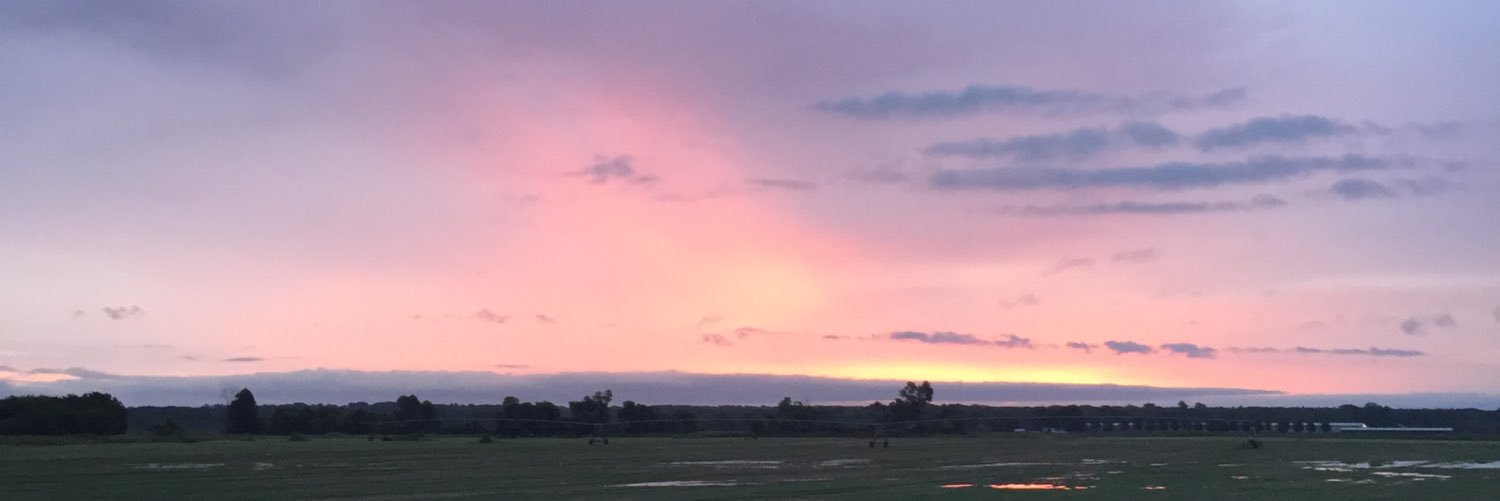 RRobinson_'s profile banner image
