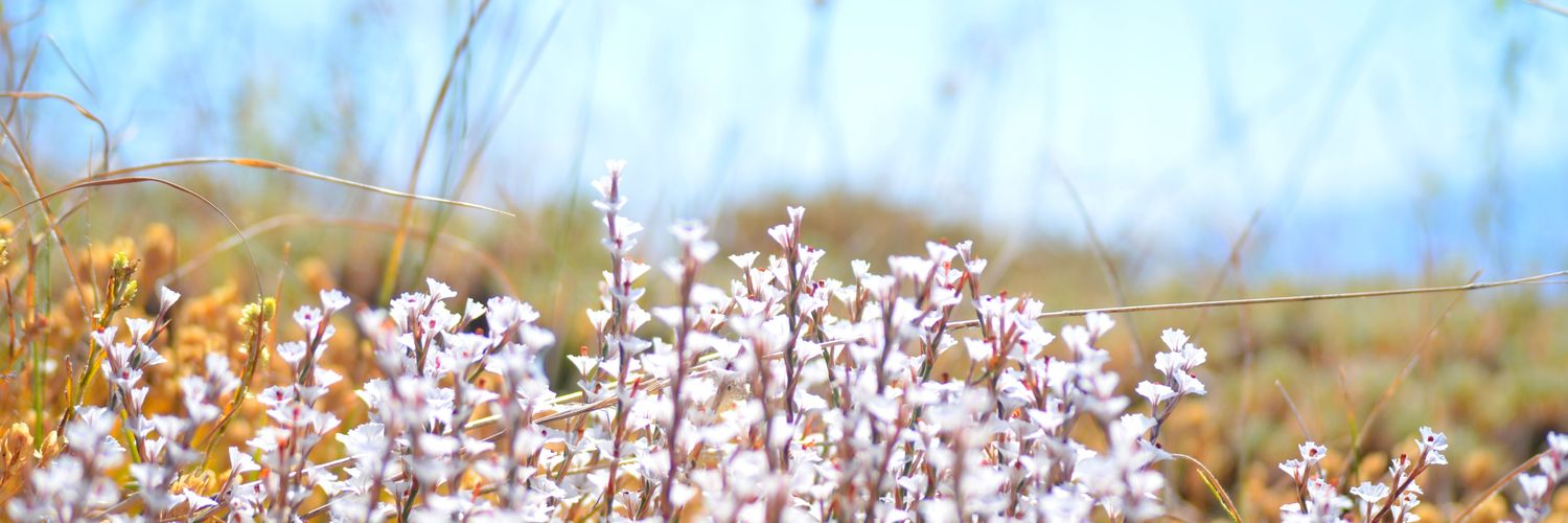 objektif2434's profile banner image