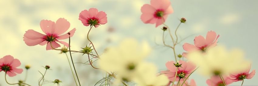 christaleigh123's profile banner image