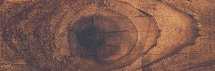 TammandKit's profile banner image