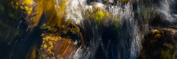 freshwatersa Profile Banner