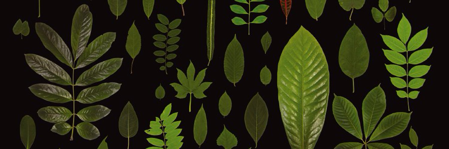 Botanical Society of America Profile Banner