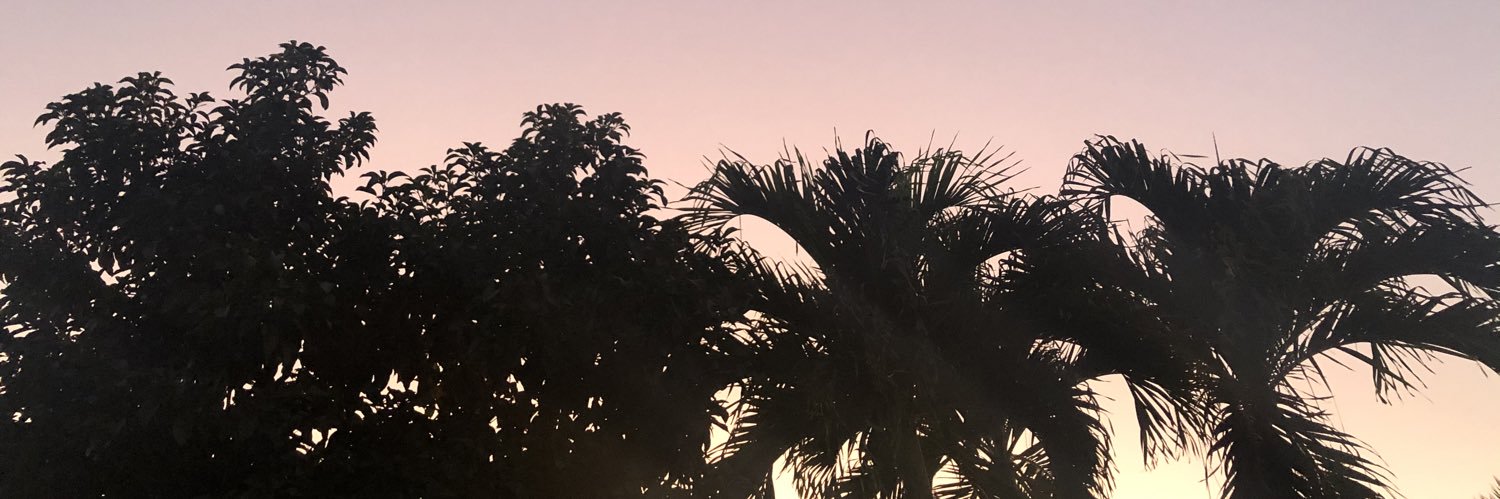 _adriannaa_m's profile banner image