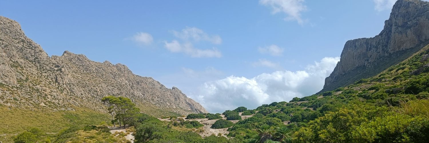 Ruben_LoGa's profile banner image
