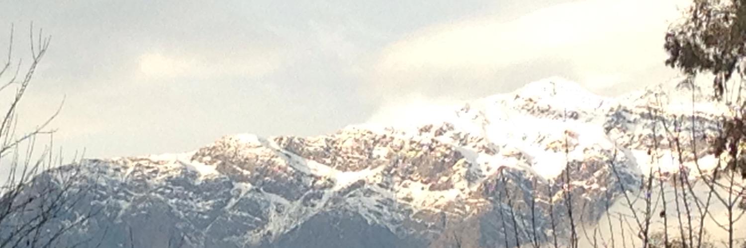 Danilo banner