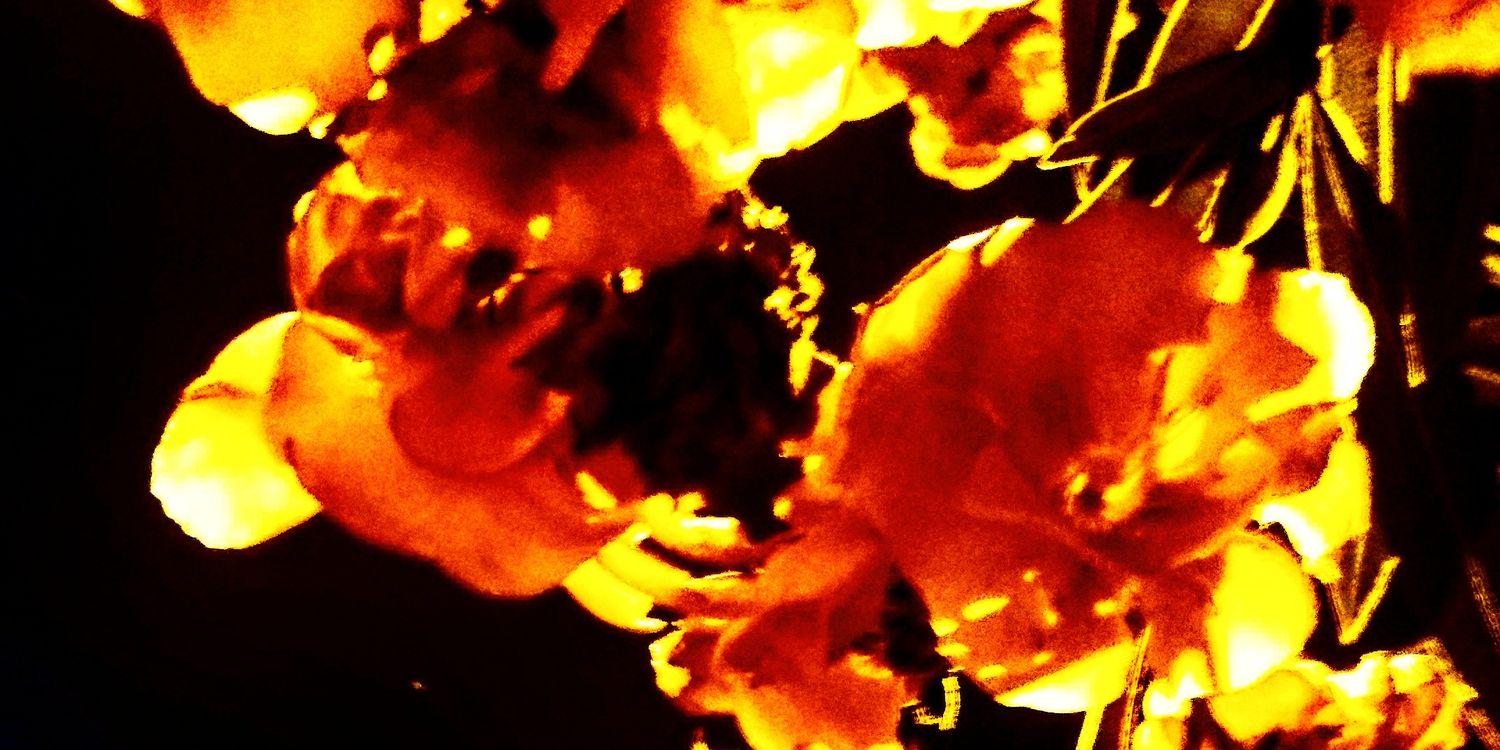 satzohimmes's profile banner image